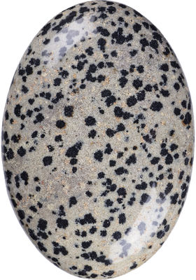 Batu Palma Jasper Dalmatian Polished Oval Bentuk Batu Energi Kristal Dalmatian untuk Dekorasi Bangunan